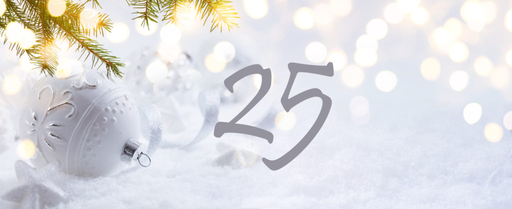 Merry Christmas and Happy New Year from NOVATIVE