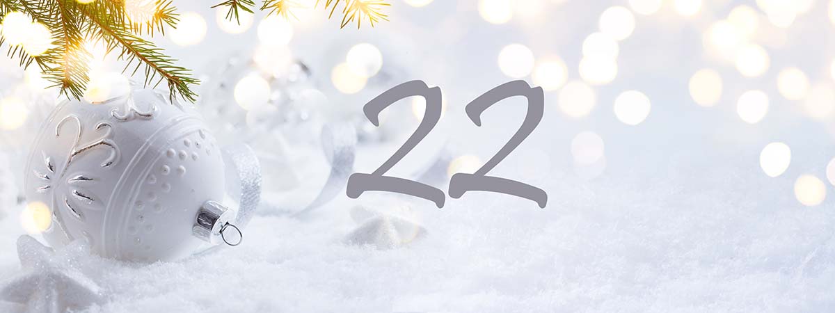 Advent Calendar Window 22: The Benefits of Expenses Software